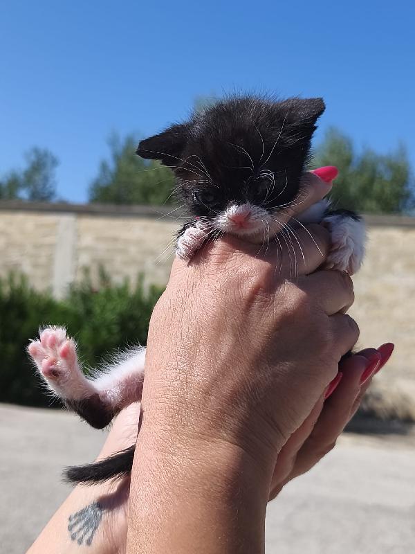 May, la piccolissima Foto 4